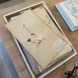 Vintage Swedish pressed botanical herbarium page