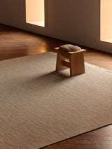 Armadillo Willow Rug in Kiln, handwoven flatweave rug shown in a room setting